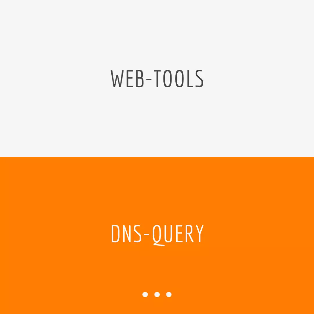 DNS query