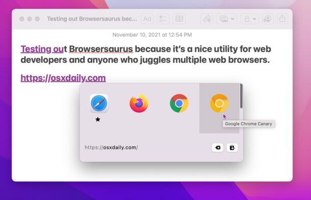 Die Rolle des Openlinks Browsers für den Schutz der Privatsphäre