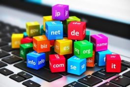 Die Bedeutung von Domains für On-line-Präsenz und Branding