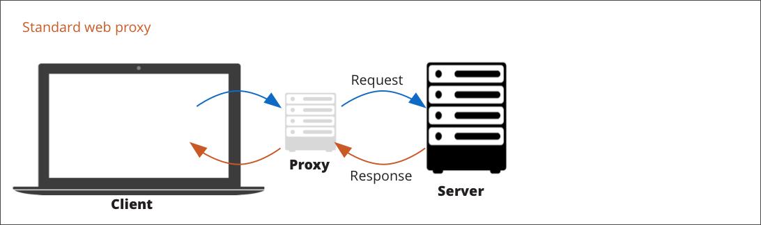 Web-Proxys: Funktionen, Vorteile und Sicherheit im Info superhighway 7 Web-Proxys: Funktionen, Vorteile und Sicherheit im Info superhighway