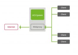 Internet-Proxys: Funktionsweise, Vorteile und Anwendungsgebiete