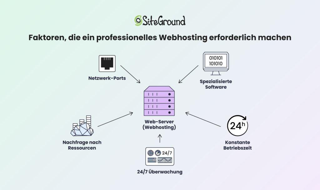 Typen des professionellen Hostings: Shared, VPS und Dedicated - eine‌ detaillierte Betrachtung