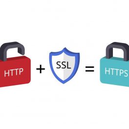 SSL-Zertifikate: Sicherheitsstandards für Ihre Web pages im Überblick