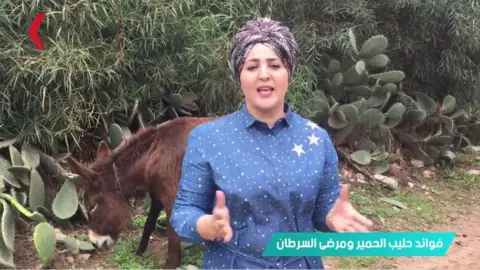 YouTube YouTuber presents a video in front of a donkey
