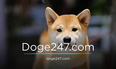 Doge247.com