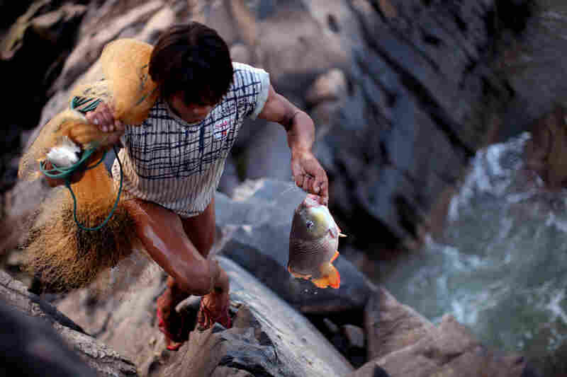 A net fisherman carries his catch at Laos' Khone Phapheng Falls, near the border with Cambodia. During colonial rule, the French had hoped to use the Mekong to extend their military and political power. But they could never find a way around the series of falls.