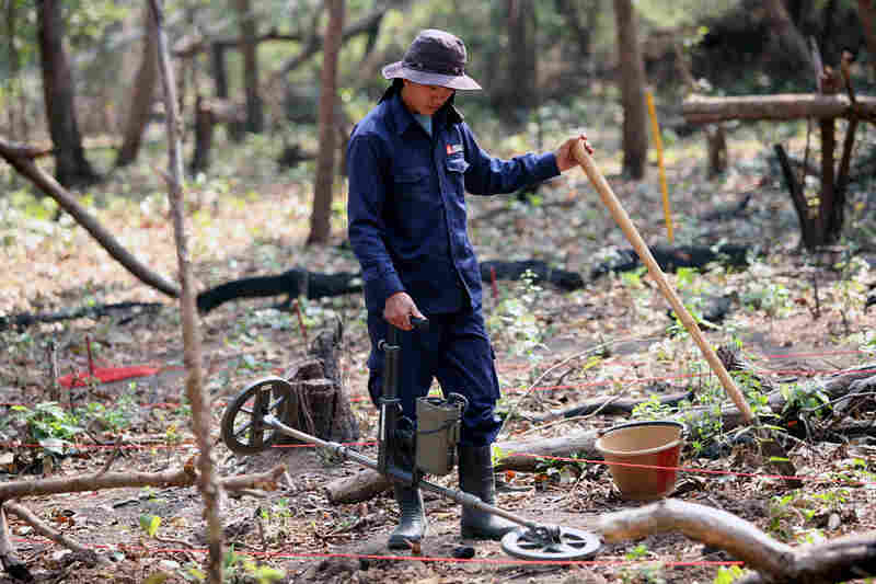 A member of the Mines Advisory Group removes unexploded ordnance from a field in Laos' Khammouane province, near the border with Vietnam. The nongovernmental organization has been working for years to remove bombs left over from the American bombing of North Vietnamese military supply trails in Laos.