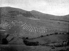 Boer Camp, Broad Bottom