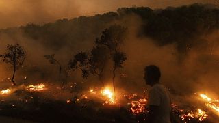 Morocco raises awareness of forest fire risk as summer approaches