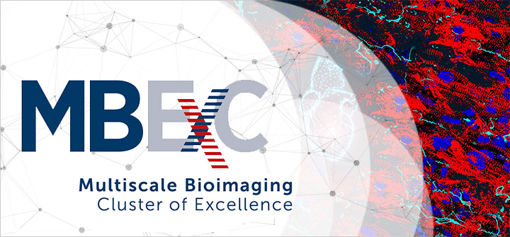 MBEXC - Multiscale Bioimaging Cluster of Excellence